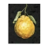 Lumaprints Dark Lemon Ii Giclee Canvas Art In Yellow