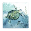 Lumaprints Delray Sea Turtle I Canvas Art In Blue
