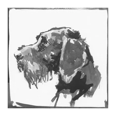 Lumaprints German Wire Haired Pointer Traditional Canvas Art In White