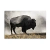 Lumaprints Geyser Basin Giclee Canvas Art In Black