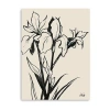 Lumaprints Iris Sketch Iii Giclee Canvas Art In Black