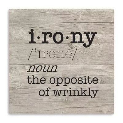 Lumaprints Laundry Room Humor I-irony Giclee Canvas Art In Brown