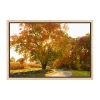 Lumaprints Maple Tree Drive Framed Canvas Art In Orange