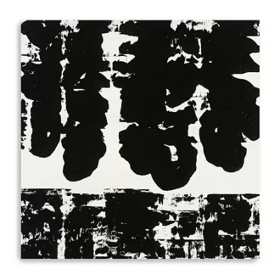 Lumaprints Shadow Velocity Ii Giclee Canvas Art In Black