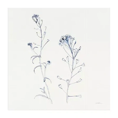 Lumaprints Shepherds Purse Stems I Blue Canvas Art