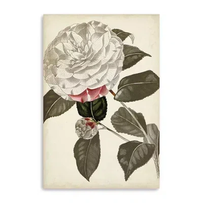 Lumaprints Silvery Botanicals I Giclee Canvas Art In Sand