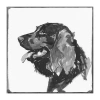 Lumaprints Spaniel Traditional Canvas Art In Black