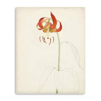 Lumaprints Watercolor Botanical Sketches I Giclee Canvas Art In Red