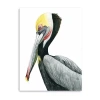 Lumaprints Watercolor Pelican Ii Giclee Canvas Art In Multi
