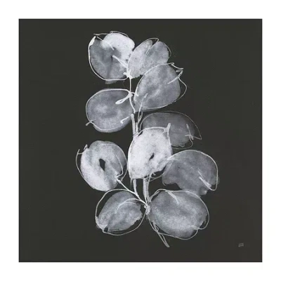 Lumaprints White Eucalyptus I Canvas Art In Black