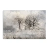 Lumaprints Winter Frost 3 Canvas Art In White