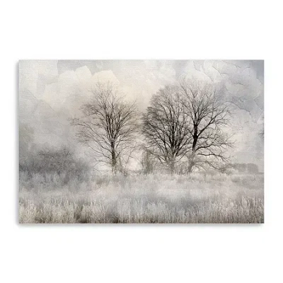 Lumaprints Winter Frost 3 Canvas Art In White