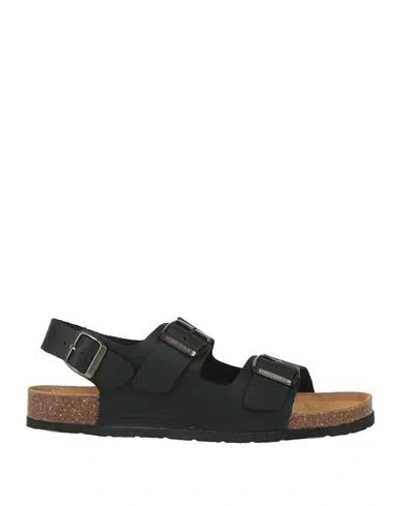 Lumberjack Man Sandals Black Size 7 Leather