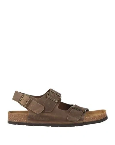 Lumberjack Man Sandals Dark Brown Size 11 Leather