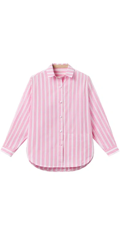Lunya Airy Cotton Curved Hem Shirt Azalea Stripe