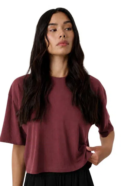 Lunya Organic Pima Cropped Easy Tee In Burgundy