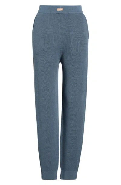 Lunya Silkthermal Knit Joggers In Blue