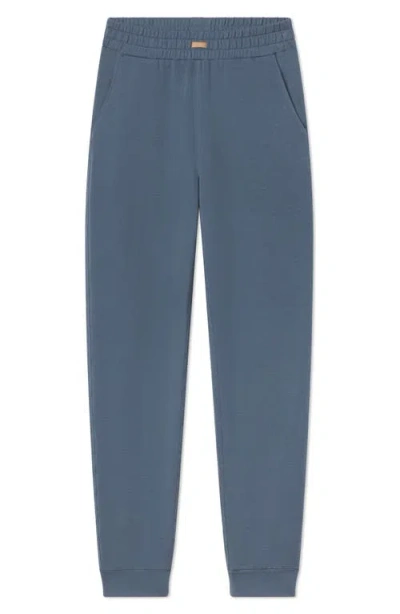 Lunya Terry Joggers In Blue