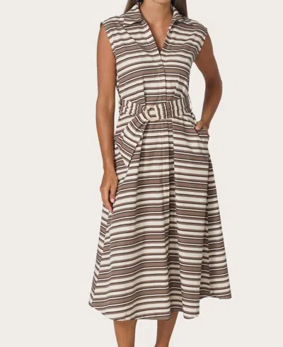 Lusana Chloe Poplin Sleeveless Dress In Benchmark Stripe In Brown