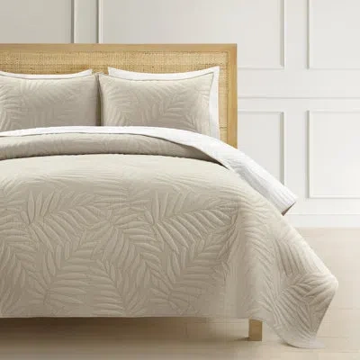 Lush Decor Bedding In Beige