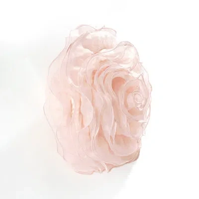 Lush Decor Floral Round Throw Pillow In Blush