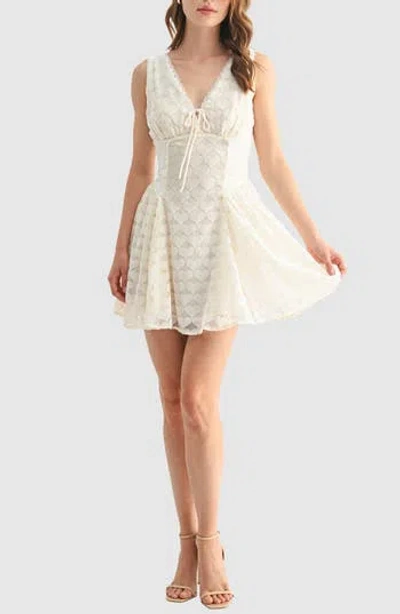 Lush Fit And Flare Minidress In White