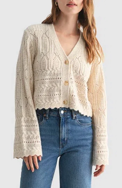 Lush Scalloped Pointelle Cardigan In Brown