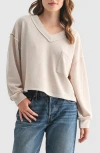 Lush V-neck Long Sleeve Top In Brown