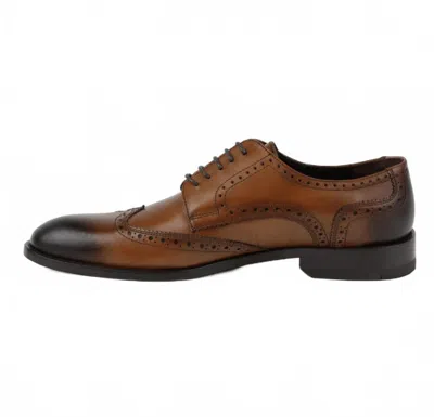 Lusso Beni Men's Plotinus Derby Shoes In Cognac In Brown