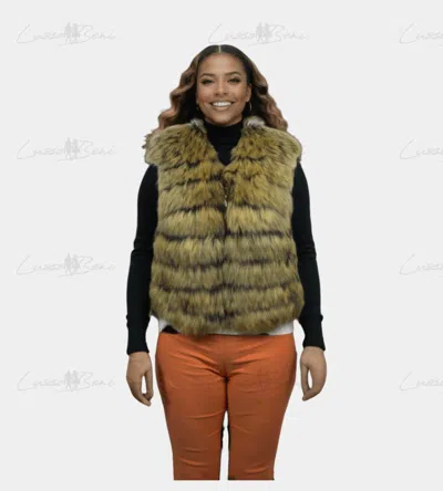 Lusso Beni Vector Fur Vest In Brown In Beige