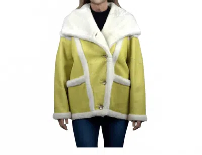 Lusso Beni Velocity Jacket In Yellow/ White In Green