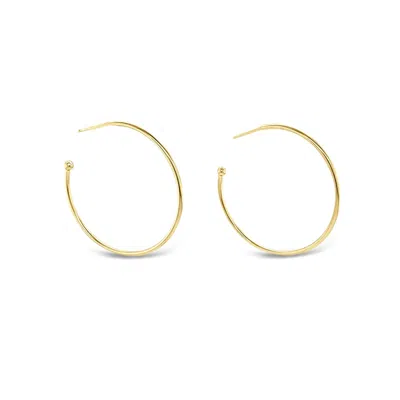 Lutiro Women's Hoop Earrings 35mm - Gold