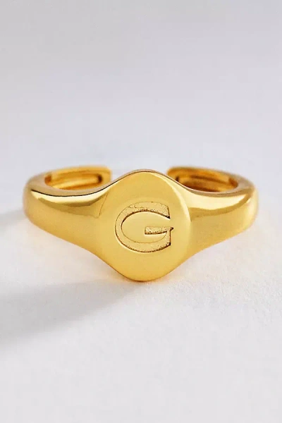 Luv Aj Initial Oval Signet Ring In Gold