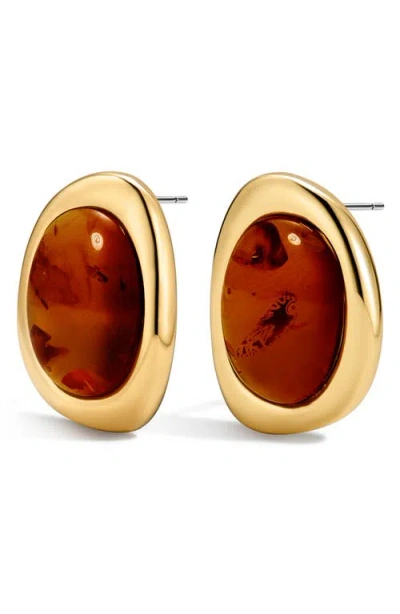 Luv Aj The Amber Honey Resin Stud Earrings In Gold