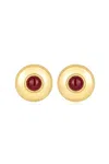 Luv Aj The Shiraz Studs