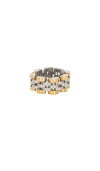 Luv Aj The Two Tone Timepiece Ring