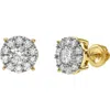 Luvmyjewelry Blazers Prime 14k Gold Diamond Stud Earrings In 14k Yellow Gold