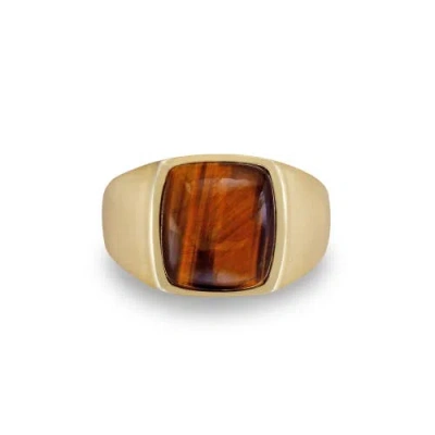 Luvmyjewelry Chatoyant Yellow Tiger Eye Sterling Silver Men Signet Ring In 14kt Gold Vermeil On Sterling