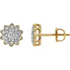 Luvmyjewelry Florana 10k Yellow Gold Cluster Diamond Unisex Earrings In 10k Yellow Gold