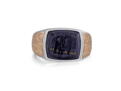 Luvmyjewelry Grey Picture Agate Sterling Silver Men Signet Ring In Multi