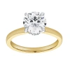 Luvmyjewelry Liora 14k Gold Round Lab Grown Diamond Hidden Halo Ring In 14k Yellow Gold