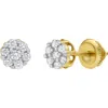 Luvmyjewelry Medi 14k Yellow Gold Diamond Cluster Earrings In 14k Yellow Gold