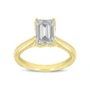 Luvmyjewelry Rahina 14k Yellow Gold Emerald Lab Grown Diamond Solitaire Engagement Ring In 14k Yellow Gold