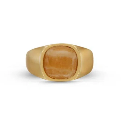 Luvmyjewelry Yellow Lace Agate Sterling Silver Men Signet Ring In 14kt Gold Vermeil On Sterling