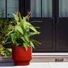 Luxenhome Burgundy Red Glazed Round Ceramic Planter, 10.83" H In Red