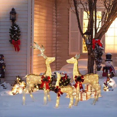 Luxenhome Christmas Lighted Led Deer Family Holiday Yard Decoration - Set Of 3 In Multi