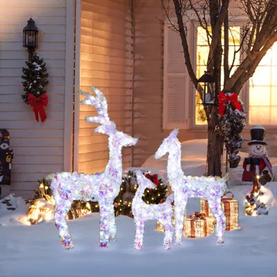 Luxenhome Christmas Snowflake Deer Outdoor Decor With Lights, Set Of 3 In Multi