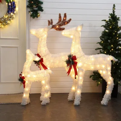 Luxenhome Frosted Reindeer Family Christmas Outdoor Lighting, Set Of 3 In Multi