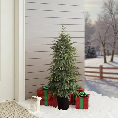 Luxenhome Green Branches Christmas Fir Tree With Potted,4ft