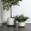 Luxenhome Light Grey Ribbed Stone-effect Mgo Short Planters, Set Of 2 In Neutral